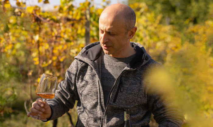Telavi Old Cellar — The Art of Resilience and Vision