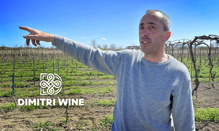 Dimitri Wine — From Letters to Vines