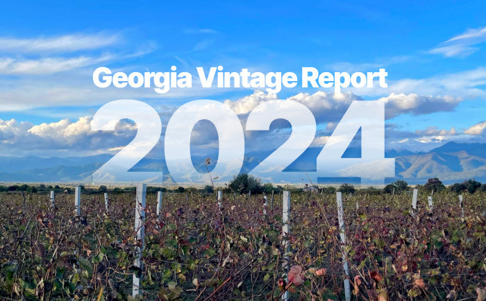 Georgia Vintage Report 2024