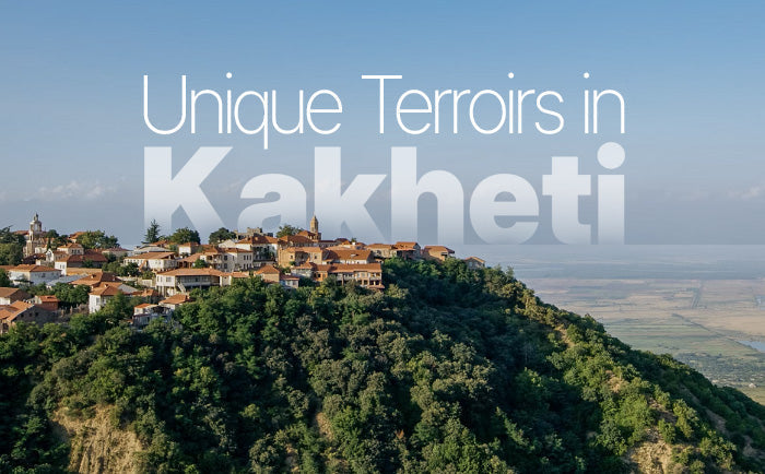 5 Kakheti Terroirs to Pay Attention To