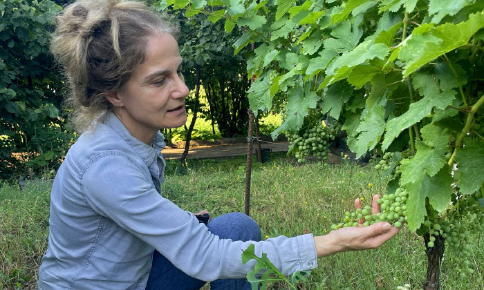 Shorena Botchorishvili: Scaling Winemaking Heights in Kakheti