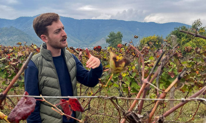 Shakriani Estate: A Young Winemaker's Vision for Aged Fine Saperavi from Exceptional Terroir