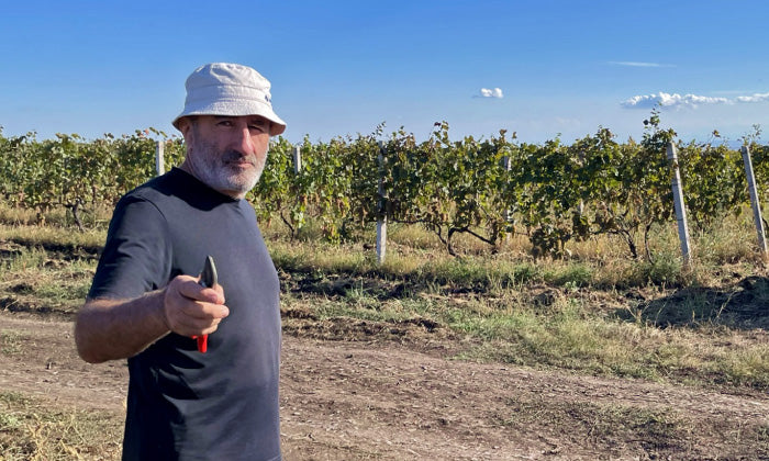 Nukriani — The Journey of Transforming Vineyards from Conventional to Organic