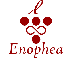 Enophea