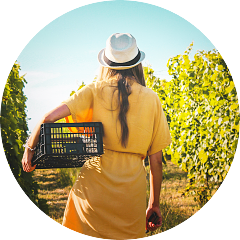 Women Winemakers